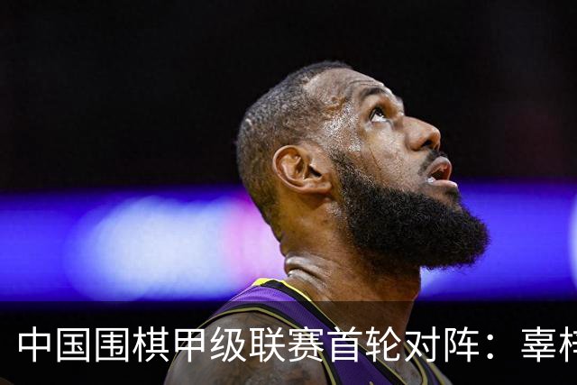 中国围棋甲级联赛首轮对阵：辜梓豪VS杨鼎新